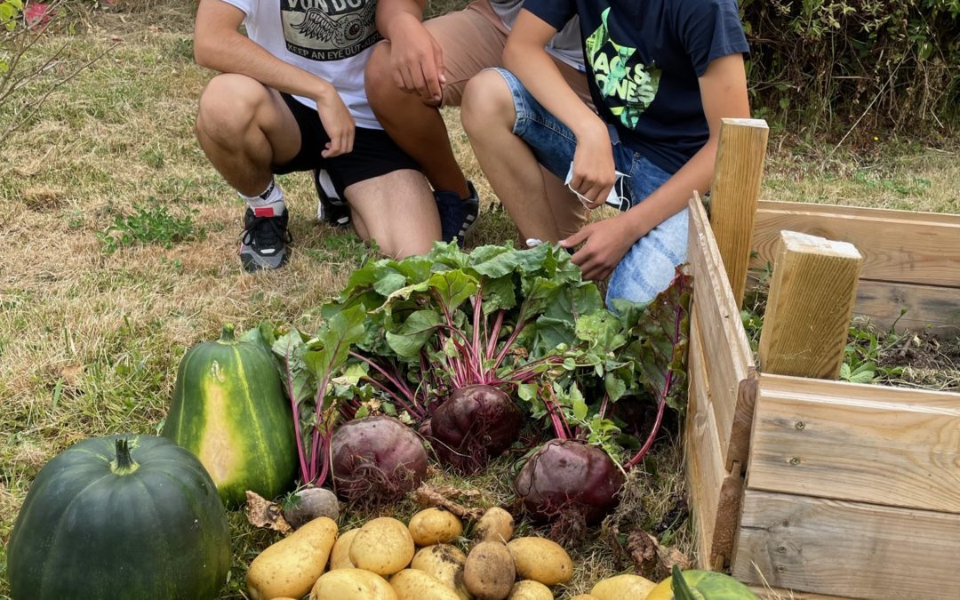 La récolte des jardiniers