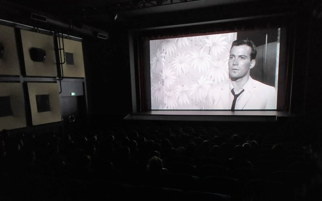 « Collège au cinéma » pour les troisièmes.